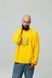 Men's longsleeve oversize with "Red kalyna trident" embroidery, yellow, Yellow, S