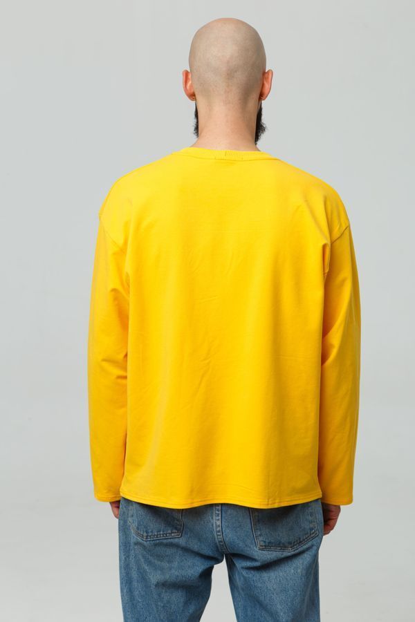 Men's longsleeve oversize with "Red kalyna trident" embroidery, yellow, Yellow, S
